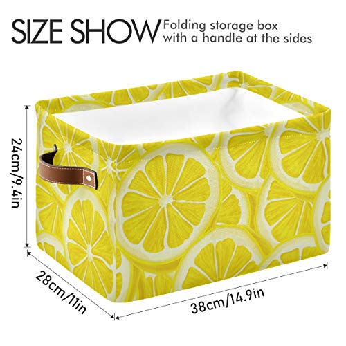 Yaz Meyve Limon saklama kutusu Katlanabilir Saplı Dikdörtgen Su Geçirmez Yaz Meyve Limon Sepeti Depolama Küp klozet organizatör