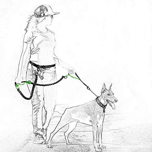 Mile Yüksek Yaşam | Güçlü Yumuşak Köpek Kayma Tasma / Prim Poli Pamuk Yumuşak Rahat Halat Köpek Kurşun / Güçlü Çekerek Destekler