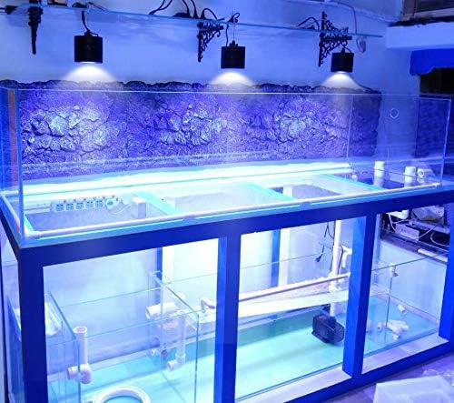 Tam Spektrum akvaryum ışığı, Resif, Mercan, Nano Akvaryum tankı için Ayarlanabilir Tuzlu Su balık tankı ışığı 4 Kanallı WiFi